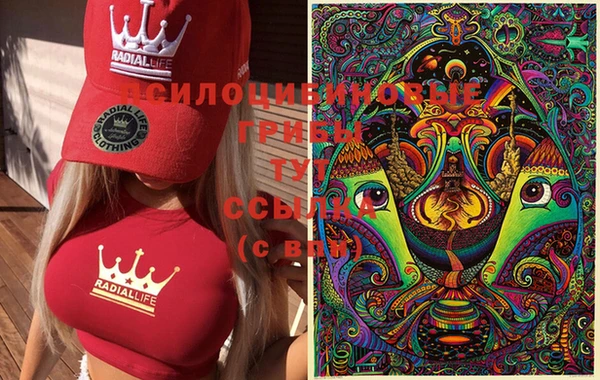 синтетический гашиш Алексеевка
