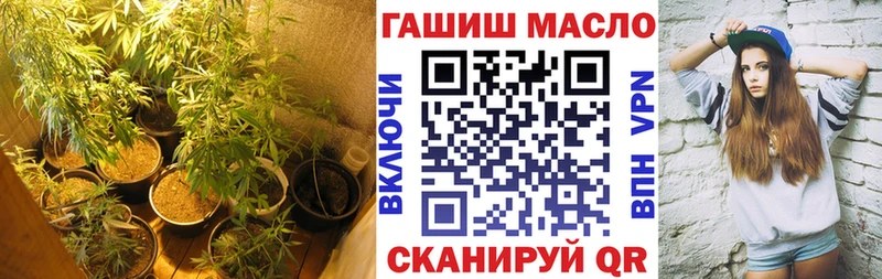 закладка Палласовка гидра как войти ТГК THC oil