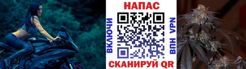 Бошки марихуана семена  как найти закладки  Палласовка 
